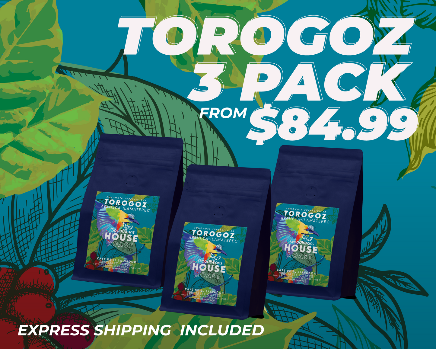 GoodBeans Torogoz 3 Pack - Medium-Dark Roast