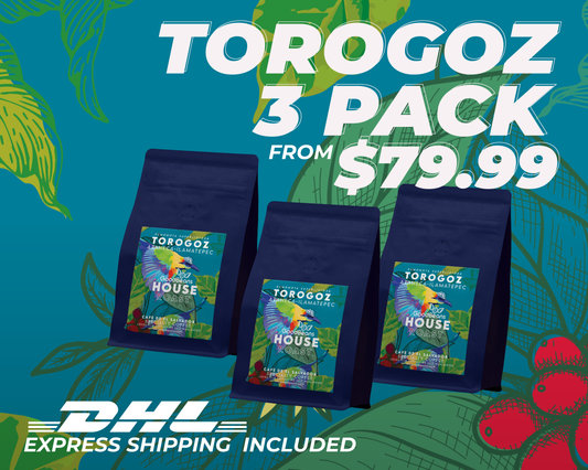 GoodBeans Torogoz 3 Pack  - Express Shipping Included!