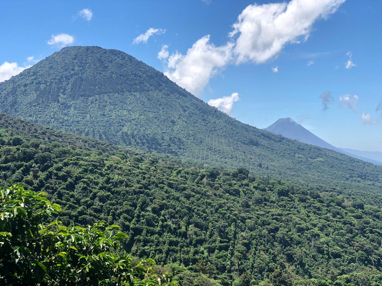 View from Las Nubes Coffee Estate in El Salvador