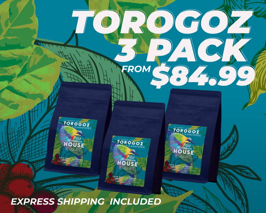 GoodBeans Torogoz 3 Pack  - Medium-Dark Roast