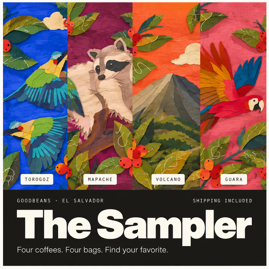 Promotional graphic for 'The Sampler' coffee collection by GoodBeans, featuring four colorful vertical panels with illustrated coffee-growing scenes and animals: Torogoz with a blue bird, Mapache with a raccoon, Volcano with a mountain, and Guara with a parrot. Large white text at the bottom reads 'The Sampler' with the tagline 'Four coffees.